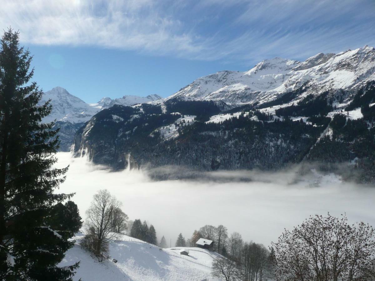 Holiday Flat #1, Chalet Aberot, Wengen, Switzerland Екстериор снимка