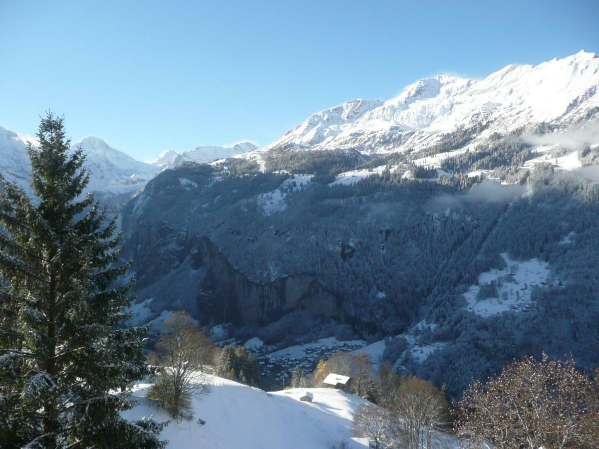Holiday Flat #1, Chalet Aberot, Wengen, Switzerland Екстериор снимка